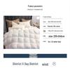 Yi Er Ya 95% White Goose Down Comforter