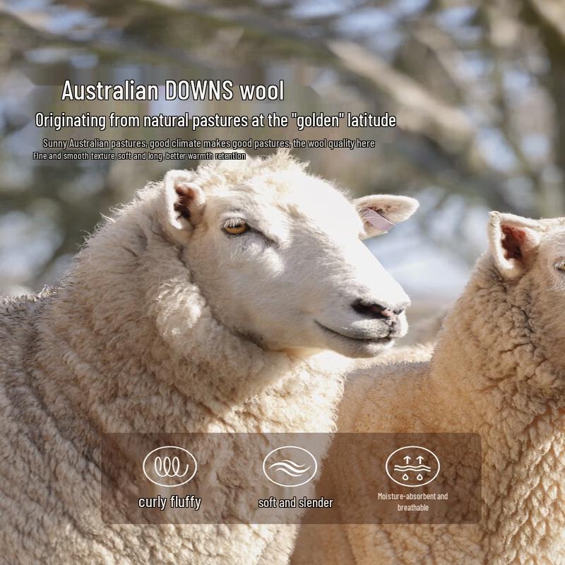 Mercury Home Textiles 100% Australian Wool Winter Comforter