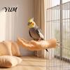 Budgie Cage Perch Hand-Shaped Parrot Perch, Realistic Hand Stand with Screw Fastener, Bird Training for Birds Cockatiels, Desensitization Interactive