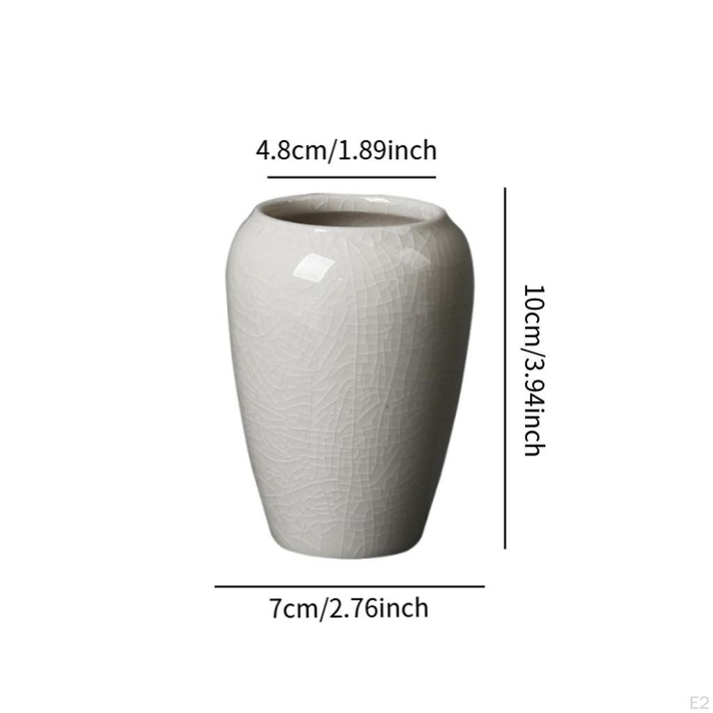 Ceramic Planter Pot 3.94inch Height for Home Display