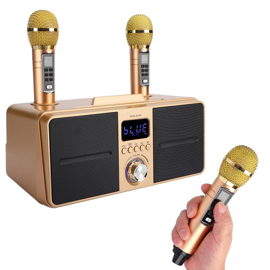 Family KTV High Quality Sound Kit Integrated Wireless Microphone Live Audio Card Bluetooth Karaoke