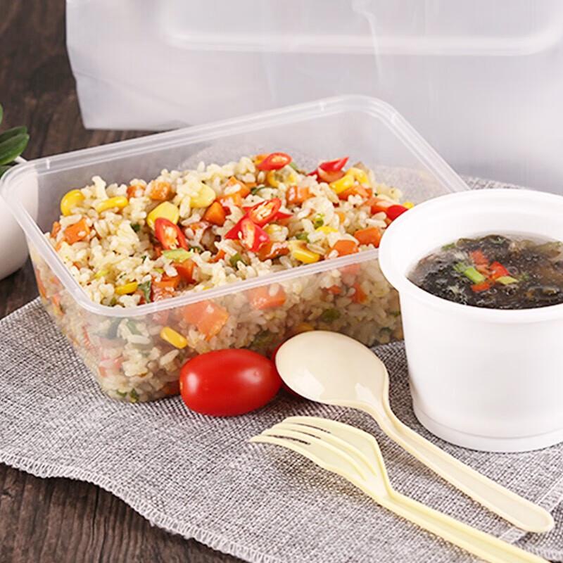 Edo Disposable Transparent Food Containers with Lids