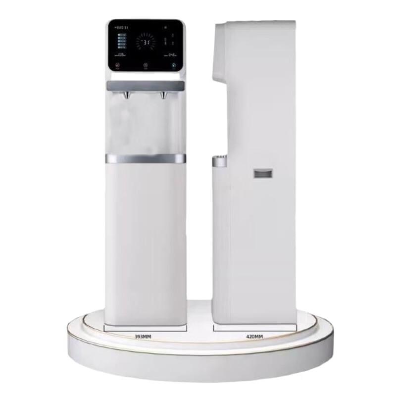 Royalstar 5-Stage RO Hot & Pure Water Dispenser
