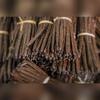 Vanilla Beans Grade B (10 Cm) – Gourmet Whole Pods for Extract & Baking | Pack of 5 | Best Seller – Holiday Favorite – Christmas & New Year