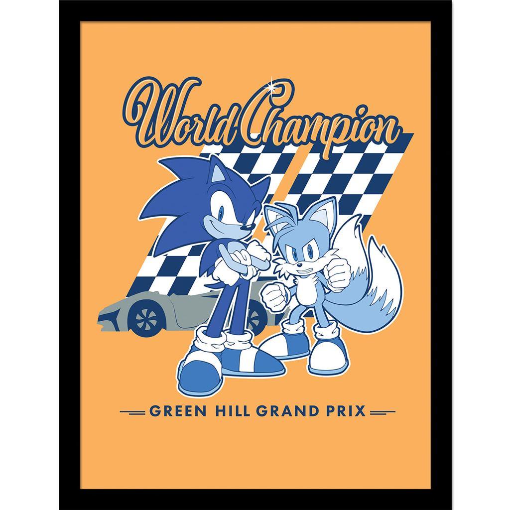 Sonic The Hedgehog World Champion Framed Poster