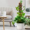 Yousheng 2/4/6Pcs Plant Moss Pole Easy Assembly Climbing Plants Plant Support with Sphagnum Moss Moisture-retaining Plant Support Stake