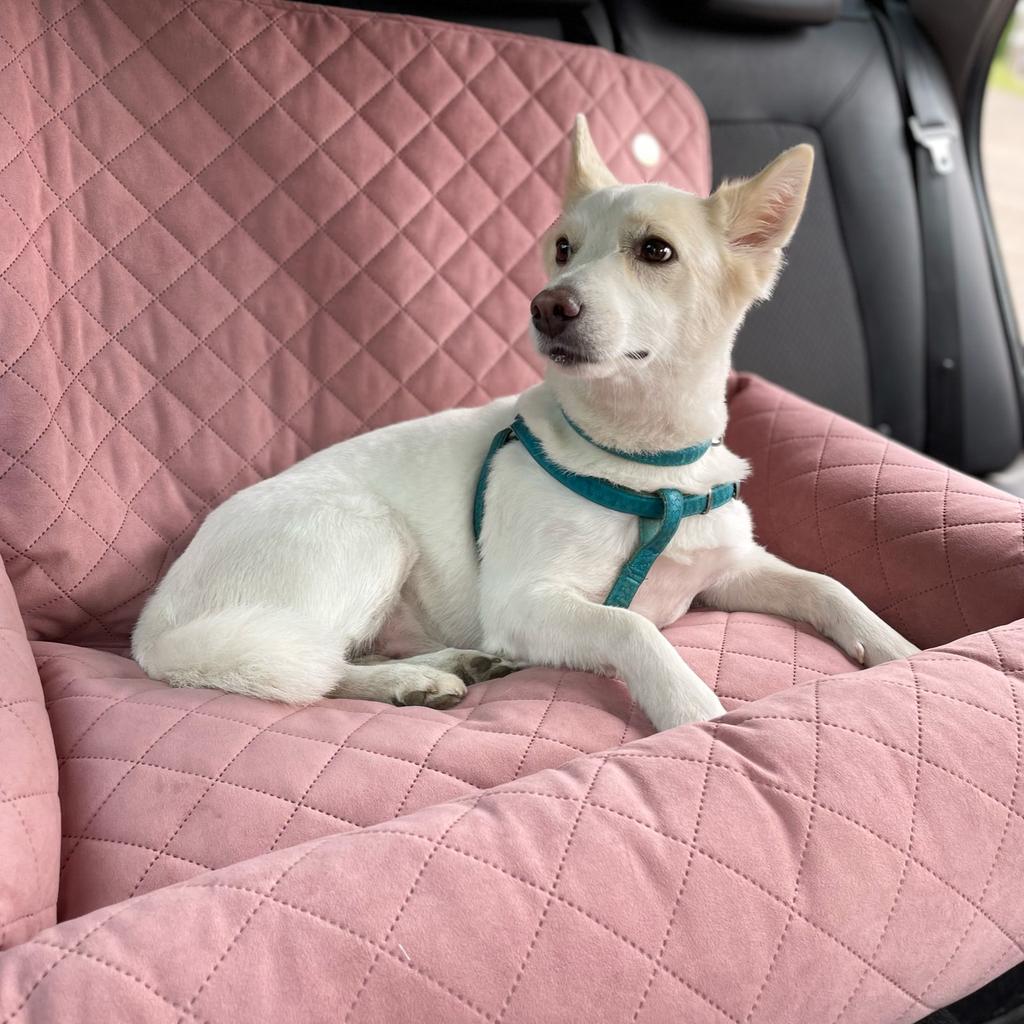 Large Dog Car Seat XL Beige