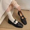 Fashion Temperament Brown Retro Square Head Light Mouth Thick Heel Single Shoes Women's 2025 New Spring French Mary Jane Shoes