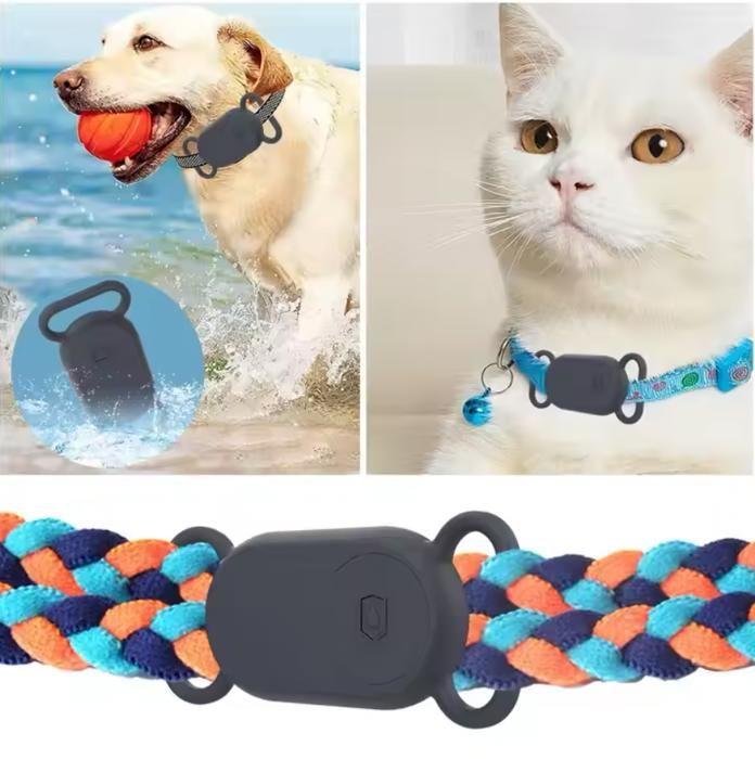 Support de collier - Samsung - SmartTag 2 - Étanche - Abeilles - Petit chien/chat