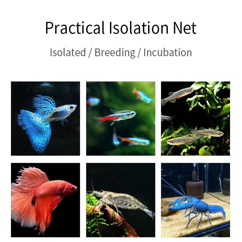 Useful Double Net Breeding Isolation Box Hatchery Aquarium Incubator Breeder Grow Seed Holder