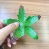 50 шт. Искусственный держатель для роз DIY Аксессуары для украшения зелеными листьями Роз Украшение для дома и вечеринки Букет роз Свадебный венок Подарок