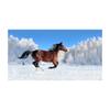 Modern Galloping Horses Landscape Canvas Painting Posters and Prints Wall Art Picture for Living Office Room Bedroom Home Decorating