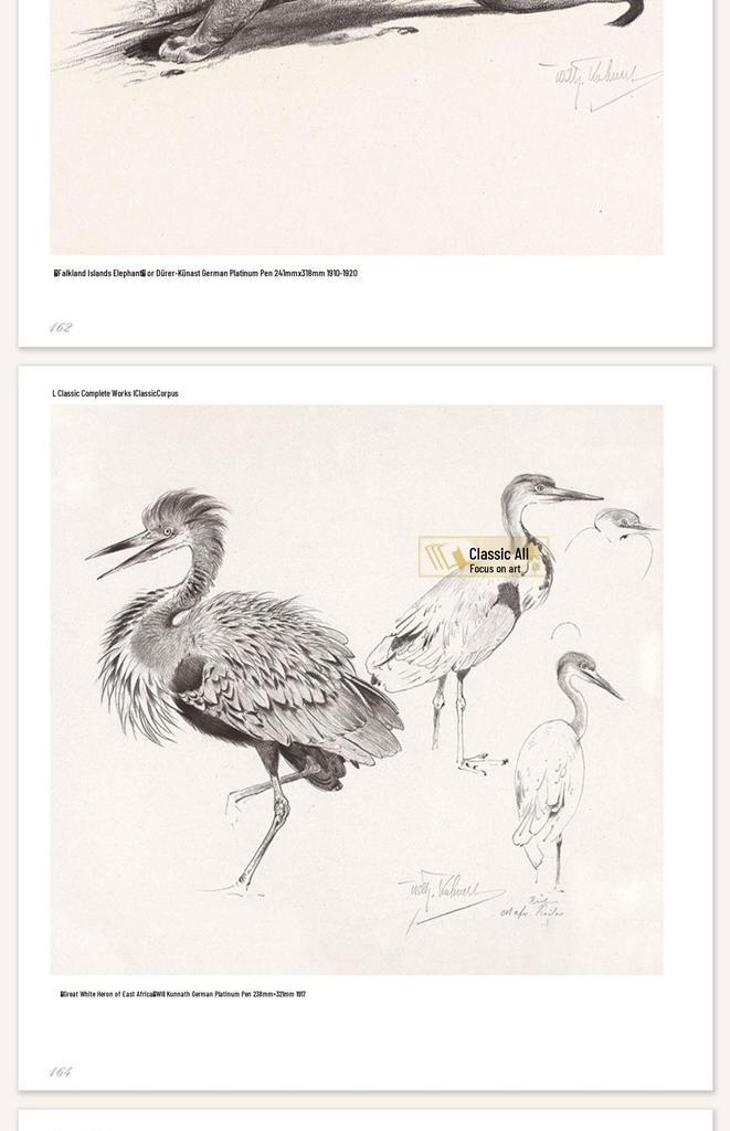 Классические техники рисования животных: Руководство для начинающих в твердом переплете для самостоятельного изучения