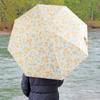 Складной водонепроницаемый защитный зонтик для мероприятий на открытом воздухе