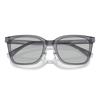 Солнцезащитные очки Emporio Armani EA4226D 502987 Размер 55