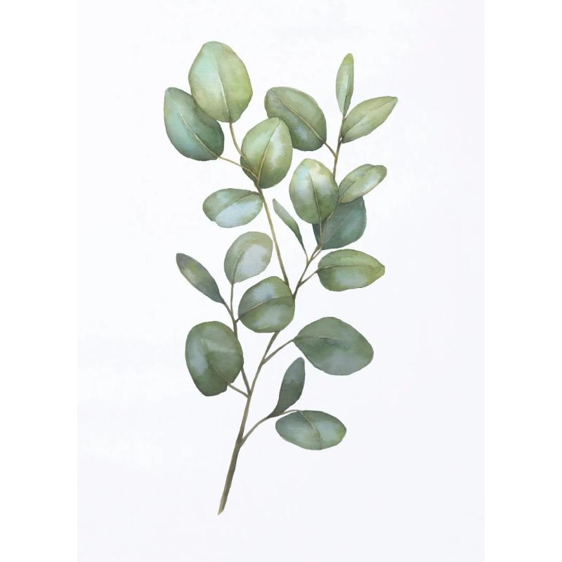 Акварельные листья зеленые постеры ботанические эвкалиптовые принты холст картины настенные художественные картины для гостиной украшения дома