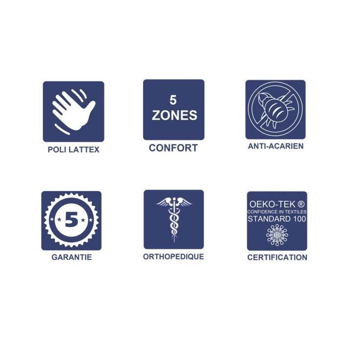 Firm Mattress for Sofa Bed 120x190 Cm Thickness 10 Cm - 5 Comfort Zones - Latest Generation HR Polished Latex Core - Very Breathable