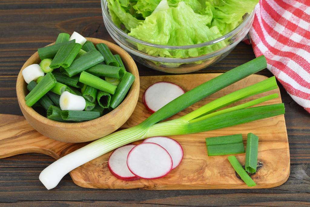 SAFLAX Gift Set - Organic - Salad Onion - Japanese Ishikura - 150 Seeds - With Gift Box, Card, Label and Potting Substrate - Allium Fistulosum