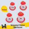 Networked Feed Bucket for Chicken & Duck Poultry Farming - Livestock Feeder