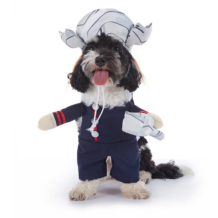 Funny Dog Halloween Costumes: Teddy Schnauzer Thor Transformation Outfit