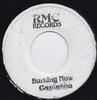 7-дюймовая пластинка CAPLETON  ELEPHANT MAN  Burning Now  One NONE RMC Records Ямайка Регги Ска Даб Б/у