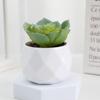 Evergreen Artificial Succulent Cactus Small Potted Plants Mini Bonsai Plants  Home