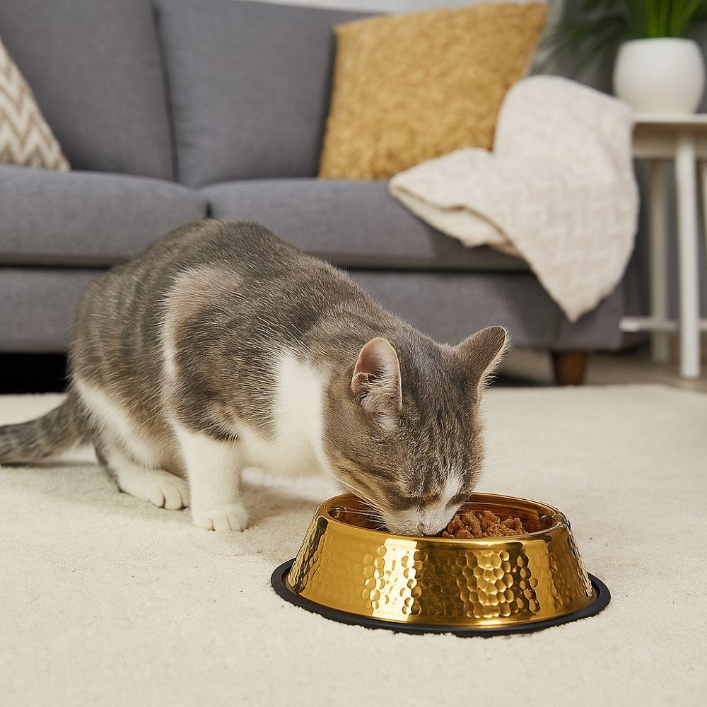Stainless Steel Pet Feeding Bowl Gold Plated Cat Food Dish Dog Water Food Bowl  for Feeding