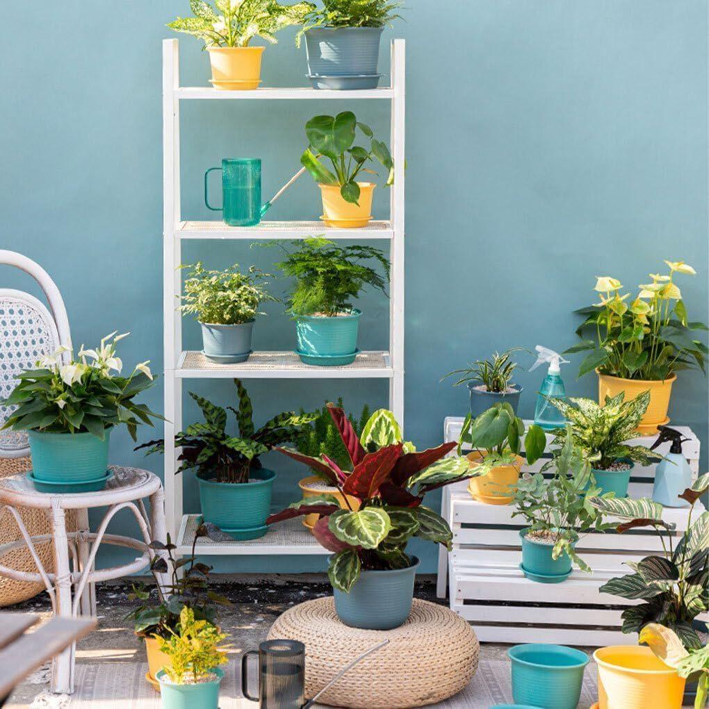 Пластиковые круглые цветочные горшки с поддоном для домашних растений, террасы, сада и т. д. | Упаковка из 05 штук | Разноцветные | Размер 8 дюймов | для дома, для использования в помещении и на улице