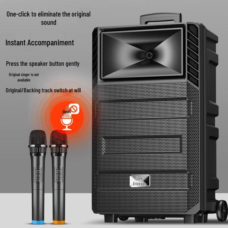 Suoai 12-inch Portable Bluetooth KTV Speaker