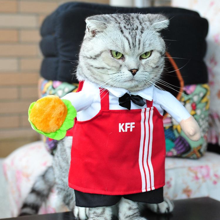 Хэллоуин Рождество Товары для домашних животных Одежда для собак Вертикальный костюм пирата Одежда для собак Полицейский доктор Стоящий костюм Гитара-трансформер Забавный костюм