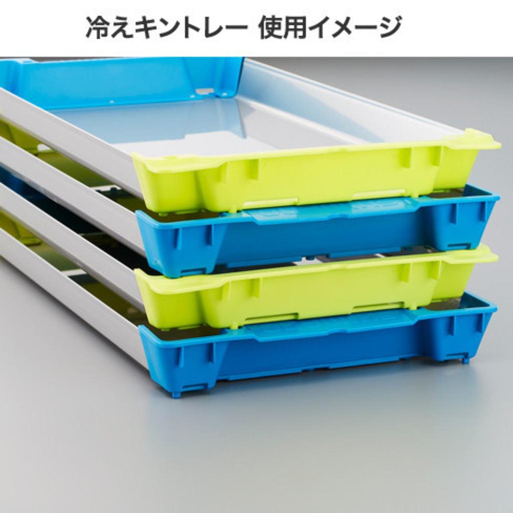 SHIMANO Squid Cold Kintray Yellow Blue L Egging Cooler Box AC-C81R