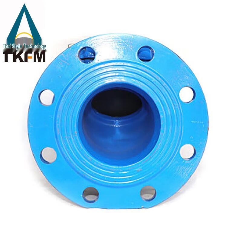 TKFM Rubber Flap Check Valve H44X-16Q