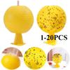 1-20 Pieces Summer Fruit Fly Trapping Ball Sticky Fruit Fly Catcher Glue Ball Multi-function Fruit Fly Mosquito Fly Catcher