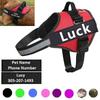 Personalized Dog Harness Reflective Adjustable Dog Harness Vest For Small Medium Large Dog Harness Vest Training Walking Running