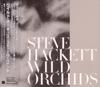 CD STEVE HACKETT - Wild Orchids IECP10066 WHD Entertainme 2006 Japan ObiRock Used