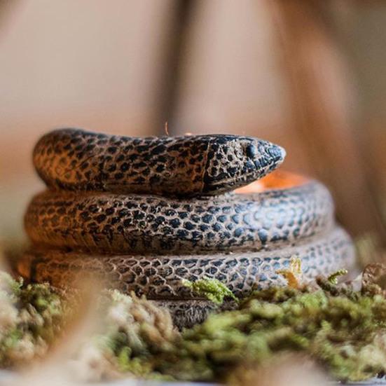 Спиральная змея Бетонный подсвечник Подставка для свечей в виде свечи Реалистичная 3D змея