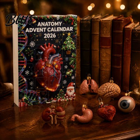 Рождественские украшения в виде человеческих органов Анатомические Адвент-календари 2026 24 Дня Календарь обратного отсчета с органами 2D Наборы по науке о теле Акриловые детали Подвески