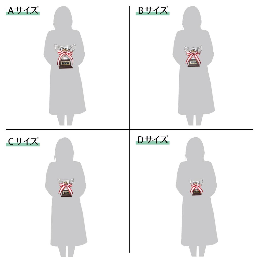 Серебряный Кубок Чемпионата, Металл, с Бесплатной Гравировкой на Табличке, AS9229, Доступен в 4 Размерах, Трофей, Награда, Приз, Турнир, Сувенир (Размер D, 14 см)