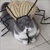 Cartoon Pet Clothes Material Kit Cute Cat Clothes DIY Material Package  Festival Decor