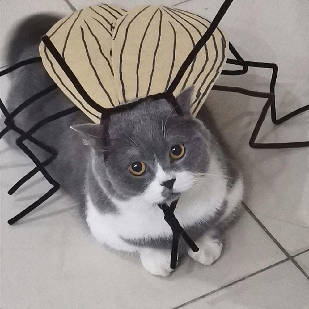Cartoon Pet Clothes Material Kit Cute Cat Clothes DIY Material Package  Festival Decor
