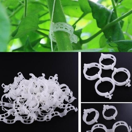 50Pcs Plastic Vine Plants Vegetables Support Clip Garden Greenhouse Holder Tool
