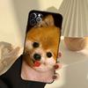 Pomeranian Dogs Dog Colorful Phone Case For iPhone 13 16 15 11 12 14 17 Pro Max 12 mini 15 16 Plus 16e 17 Air Cover Funda