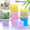 10pcs Mini Basin Square Flower-Pot Succulent Plant Trays Garden Nursery Pots Flowerpot For Home Office Decor-DIY