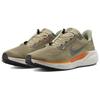 Nike Air Zoom Pegasus 41 Cargo Khaki мужские кроссовки Tan Neutral-Olive Parachute-Beige HJ7331-276