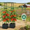 Balcony and Rooftop Vegetable Planting Box with Tomato Cage: Durable Plastic Flower Pot Container for Home Gardening.
