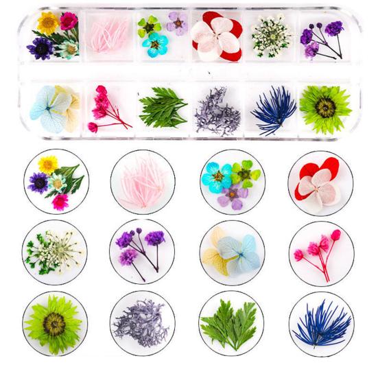 1 коробка, 10 г, сушеные цветы для украшения ногтей, 12 цветов, натуральные цветочные смешанные сухие цветы, сделай сам, ювелирные изделия, подвески, маникюрный декор, УФ-гель-лак, принадлежности для дизайна ногтей