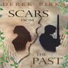 Scars from the Past by Derek Birks Paperback Book 9781910944233