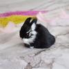 Decoration Lifelike Animal Desktop Furnishings Plush Toys Easter Rabbits Simulation Rabbit Model