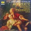LP Record ANTONIO VIVALDI  Konzerte 2535200 DEUTSCHE GRAMMO 1976 Germany Classical Used