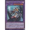 Yu-Gi-Oh! PAC1-JP023 Dragon Knight Dark Magician Girl (Japanese Secret Rare) Prismatic Art Collection